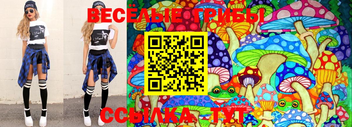 Галлюциногенные грибы Psilocybe Сергиев Посад