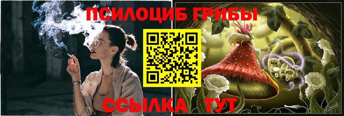 Сергиев Посад  Галлюциногенные грибы Cubensis  Вход с VPN  Галлюциногенные грибы мухоморы 